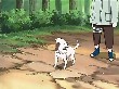 [S^M] NARUTO 202 203 204 RAW(191).jpg